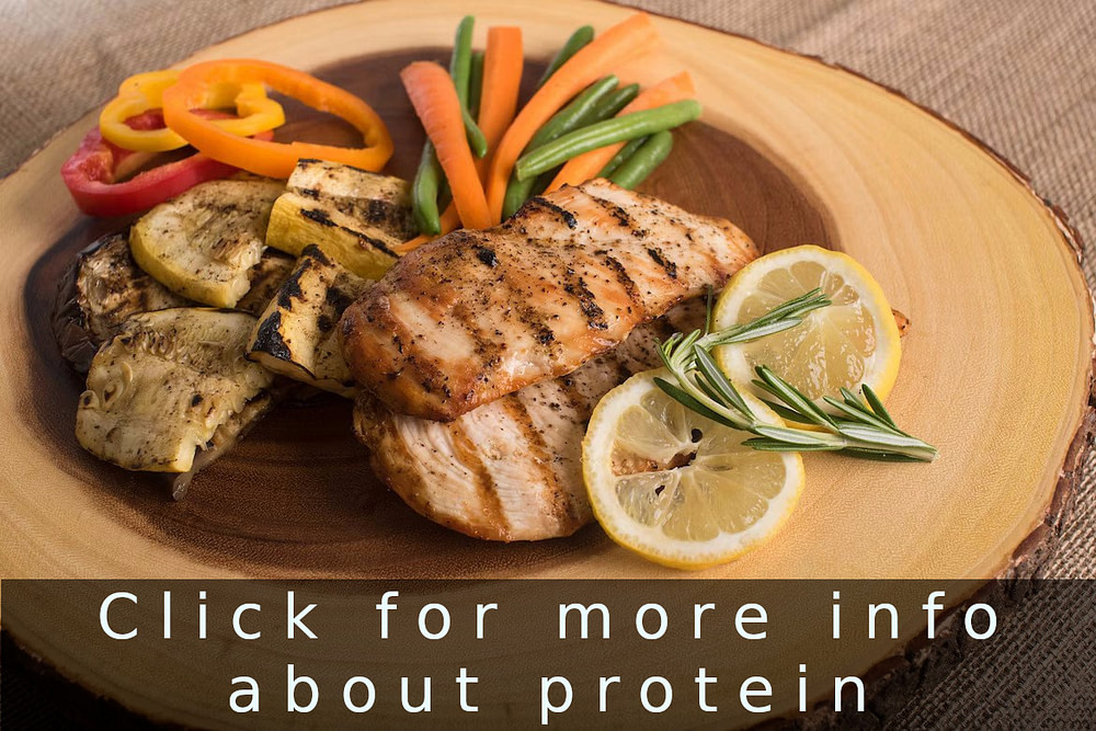 Protein is Vital for Muscle Growth and Recovery
